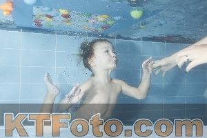 Photo 4304241