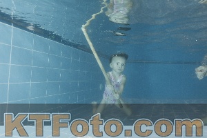 Photo 4304256