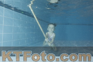 Photo 4304257