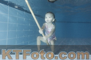 Photo 4304259
