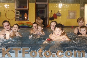 Photo 4304287