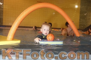 Photo 4304324