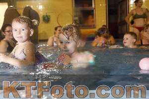 Photo 4304362