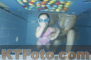 Photo 4304372