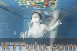 Photo 4304375