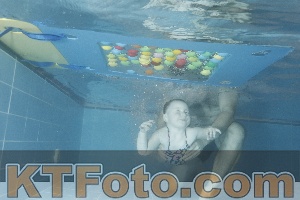 Photo 4304381