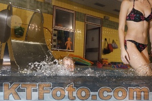 Photo 4304395