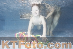 Photo 4304411