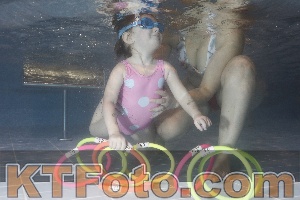 Photo 4304421