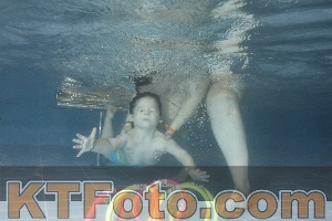 Photo 4304422