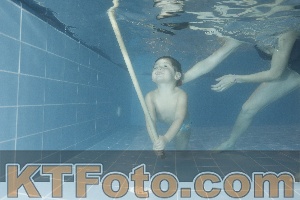 Photo 4304445