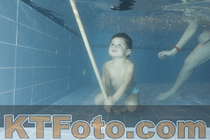 Photo 4304446