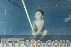 Photo 4304447
