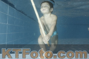 Photo 4304448