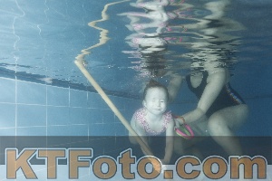 Photo 4304449