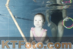 Photo 4304452