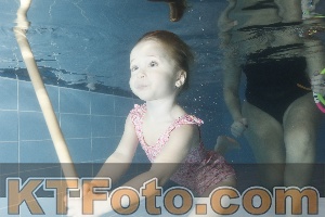 Photo 4304453