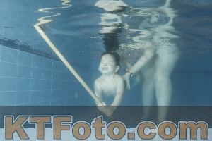 Photo 4304454