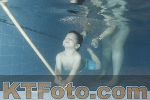 Photo 4304455