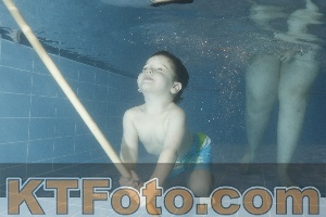Photo 4304456