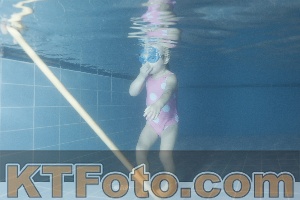 Photo 4304458