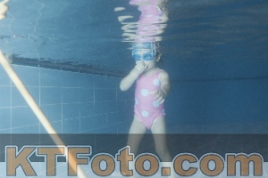 Photo 4304459