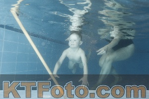 Photo 4304460