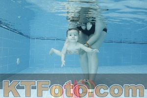 Photo 4304568