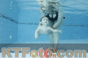 Photo 4304570