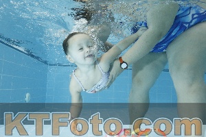 Photo 4304571