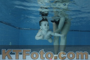 Photo 4304576