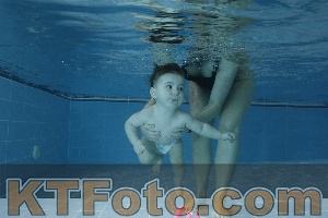 Photo 4304577