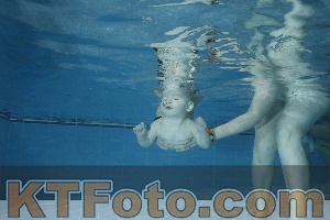 Photo 4304582