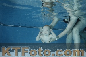 Photo 4304583