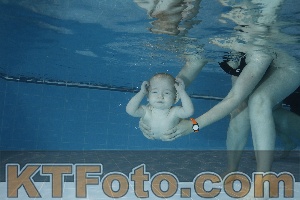 Photo 4304584