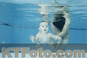 Photo 4304587