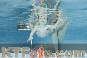 Photo 4304591