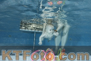 Photo 4304592