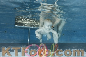 Photo 4304593