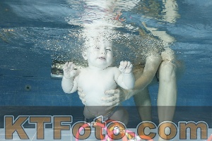 Photo 4304594