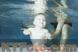 Photo 4304595