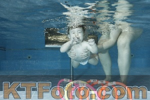 Photo 4304596