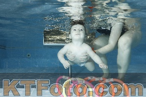 Photo 4304597