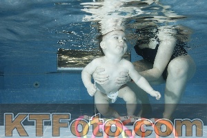 Photo 4304598