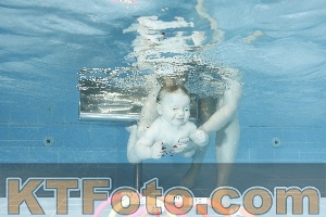 Photo 4304599
