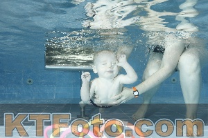 Photo 4304602