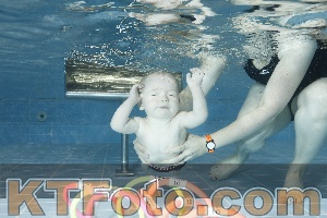 Photo 4304603