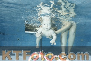Photo 4304605
