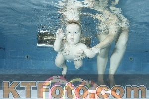 Photo 4304606