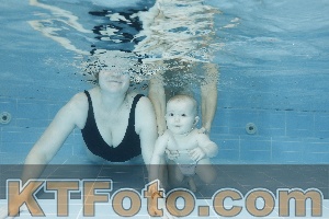 Photo 4304650
